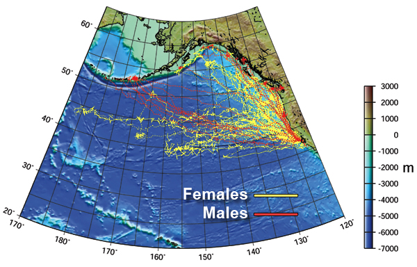 Migration map.